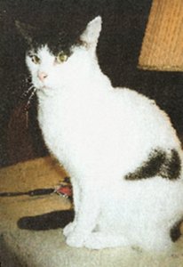 perdu