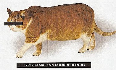 felix