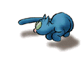 katze