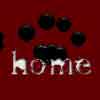 retour